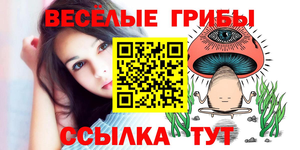 Псилоцибиновые грибы мицелий Тара